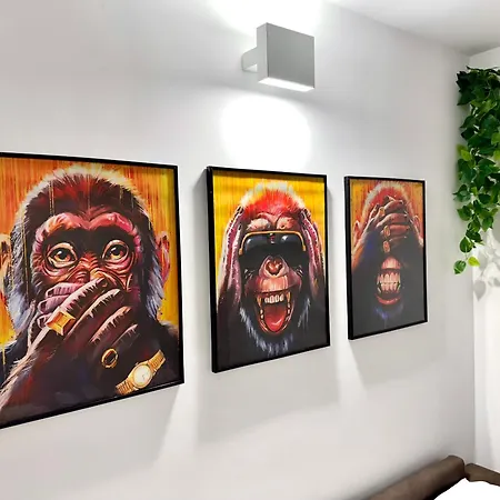 Alfieri 7 Luxury - Centro Apartman Torino